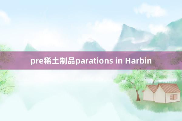 pre稀土制品parations in Harbin